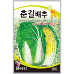 춘길배추 1000립 세계종묘/엽채류씨앗 : 영양팡팡