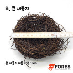 포레스 인테리어 홈가드닝 소품 모형 화분 꾸미기 미니어처 새둥지 알 9p : 포레스