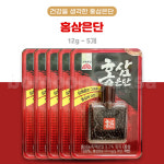 고려은단 홍삼은단12g 5개 상쾌함 홍삼 농축액 검초분말 약국 환 : 오렌지헬스스토어