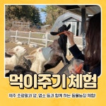 승마,카트,사격,파크골프 제주도 목장카페 체험 [ 택1 ] : 드르쿰다올패스