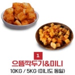 으뜸깍두기 10KG  국내산 무 업소용 국밥집 가정용 종이박스 25mm : 바른푸드 으뜸깍두기