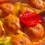 제주아린팜 서귀포 16Brix 고당도 하우스 레드향 선물용 가정용 2.5kg 4.5kg : 제주아린팜