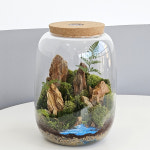 (조명+우드받침 포함) Enjoy Nature 계곡 숲 테라리움 DIY 엔조이 네이쳐 식물조명 키트 식물인테리어 취미 : 타이니테라