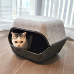 가또나인 펜타곤 펠트 고양이 숨숨집 : GATO