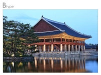 원단이 두꺼운 인테리어 롤스크린 사무실 거실 카페 오피스텔 NR-Pt-102(롤) : nooriori