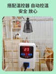앵무새 발열 램프 애완 새 조류 겨울 야외 특수 단열 히터 용품 둥지 사육장 케이지 난로 : 익스워크