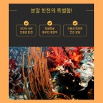 한천 가루 젤리 푸딩 도토리 묵 만들기 400G : 선아슈퍼