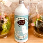 식물영양제 복합비료 뿌리깊은나무 액상비료 500ml(대용량) 수목영양제 조경수관리용 텃밭가꾸기 주말농장용 : 뿌리깊은나무 주식회사