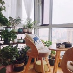 편한 식탁의자 테이블 카페 까페 인테리어 바 의자 엔틱 편안한 발코니 라운지 모던 다이닝 체어 나무 회전 디자인 식당 가구 : 직구상자몰