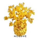 황수정 돈나무 황금복주머니돈나무 엽전돈나무 금전수 행운목 재물 인테리어소품 : 라인불교마켓