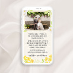 모바일 결혼 감사 답례 문자 답례장 혼주 결혼식 후 인사말 인사 감사장 꽃한송이 (사진 톡톡으로) 신랑신부용 : 라라그림