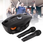 KTV DJ 무선 마이크 시스템, 혁신적인 올빼미 무선 노래방 마이크 시스템, 휴대용 무선 동적 마이크, 홈 : kin tone1