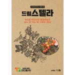 더드림 드림스텔라 토마토 씨앗 종자 / 보는 멋! 먹는 맛! 기르는재미! 가정원예 토마토씨 10립 : 파이토팜
