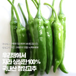 청양고추 1KG : 온누리푸드