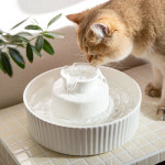 이너프파이브 ENOUGH 5 포세린 펫 정수기 화이트 : Hey Petz