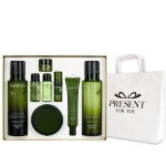 퓨어템 스킨케어 3종세트백 퓨어템 스킨케어 3종세트+쇼핑백 : 아에이오