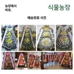 경기의료원수원병원장례식장 근조화환 화환 수원시연화장장례식장 휴일배송 : 축하화환 근조화환 개업화분