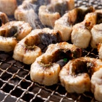 소문난 장어 초벌 배달 민물장어 포장 대물 자포니카 생 풍천 2키로 주문 택배 선물 세트 : 오복스토리