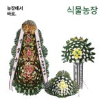 경기의료원수원병원장례식장 근조화환 화환 수원시연화장장례식장 휴일배송 : 화환농장