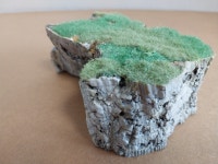 바위42 디오라마 : 유림디오라마