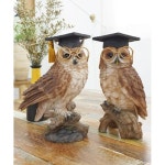 수험생 고3 학생 행운 합격 소품 학사모 박사님 안경쓴 부엉이 2p 인테리어 : MYMONOSHOP