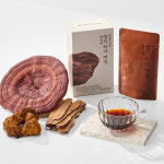 정관장 영지 차가 버섯 달임액 90ml 30포 : 정관장브랜드스토어