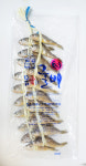 영광군수협 몸애좋은굴비 가정용20미 1.7kg : 영광군수산업협동조합