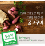 양주골 무농약 세척 꿀 고구마 2kg 4kg 10kg 베니하루카 : 양주농부이범석