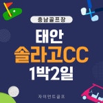 솔라고cc 1박2일골프 예약/충남 태안 : 자이언트골프투어