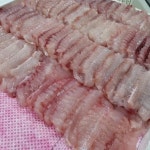 흑산도 국내산 500g 생홍어 홍어 국산 : 클레이맥