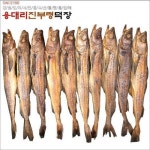 [JBR 용대리 통황태 50cm)] 10마리(48 진부령덕장 : 클레이맥