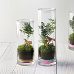 이끼 테라리움 원예치료 취미 만들기 DIY 키트 : 잎새몰