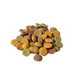 [480g+N포인트] 벅스독 벅스펫 강아지 췌장염 사료 비건포뮬러, 5kg, 1개 : 펫앤아이