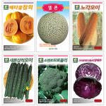 다농 씨앗 모음 혼합 2g 채소 쌈채소 종자 봄 가을 씨 텃밭 상추씨 야채 파종 : 다농원예가든