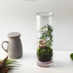 이끼 테라리움 원예치료 취미 만들기 DIY 키트 : 잎새몰