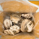 업소용 냉동 왕쭈꾸미 벌크형 대용량 5kg 300-500 사이즈 약15마리 손질/세척 : 바다냄새