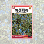 파셀리아(켈리포니아블루벨) 500립 야생화씨앗 (다농) : 씨앗나래