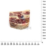참푸드팜 호주산 소갈비 탕용 4 x 6 x 2cm 1kg : 꾸러미24