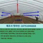 하우스 강관 골격 채소 보온 양식 재배 간이 비닐 하우스 타원관 연동 하우스 맞춤 : 코리아워터1