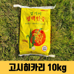 [고시히카리 10kg] 2025년 10kg 햅쌀 경기미 산지직송 우라빠쌀 : 다피그라운드
