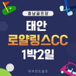 태안 로얄링스cc 1박2일골프/36홀 구장 : 자이언트골프투어