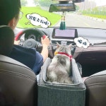 콘솔박스카시트 강아지차량시트 애완 동물 중앙 제어 자동차 중형견카시트 애완견카시트 : NN9