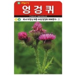 [소포장] 귀한 산약초 엉겅퀴 씨앗 100립 : 녹색그린농산
