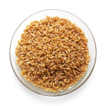 카무트 쌀 호라산밀 5kg 고대곡물 효소 : 갑당약초