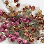 미니 장미 드라이 플라워 (2색) 소이 캔들 석고방향제 인테리어 장식 데코 : 별님캔들