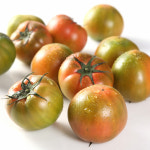 다원농장 찰토마토(크기혼입) 5kg : 익산시 마을전자상거래지원단