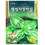 바질씨앗 바질종자 차밍바실씨 3g : 씨앗의모든것