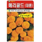 화경이 크고 빠르게 피는 메리골드 대륜 씨앗 10립 : 녹색그린농산
