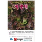 맛이 뛰어난 쌈용 적색 아삭이 상추 적생채 씨앗 300립 : 녹색그린농산