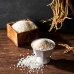 새청무쌀 20kg 당일도정 백미 쌀 10kg 25년 햅쌀 : 정이가농산